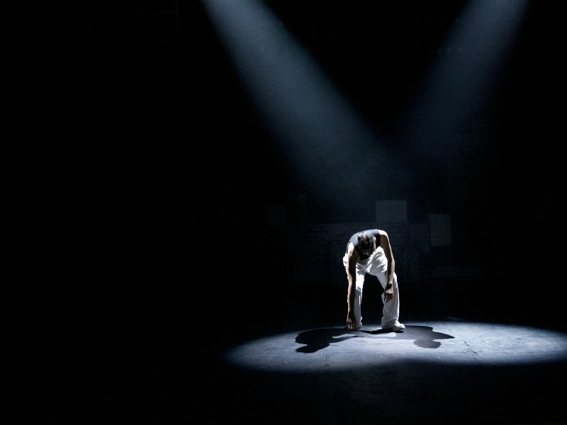 Dans Hakkında Her Şey